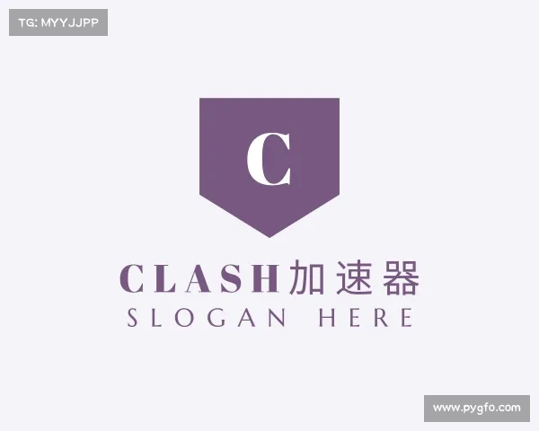 发现clash加速器